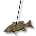 spear_fish.png